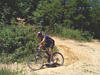 mike_boyes