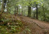 Dsc00121
