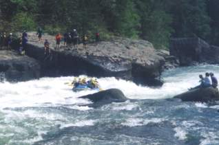 Gauley Festival