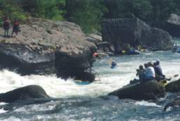 Gauley Festival