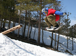 Air Board
