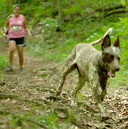 Dirty Dog Photo by J.R. Petsko