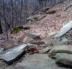Creek to Peak Photo