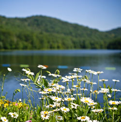 Summit Lake Photo by Tiffany Summerlin