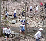 Race Pic